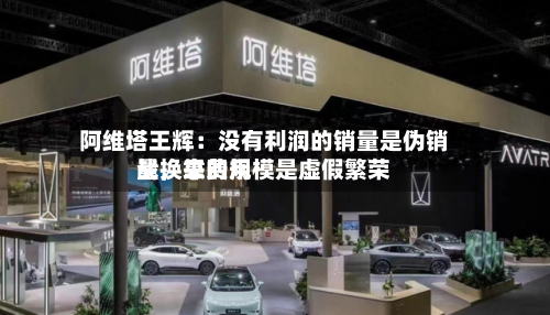 阿维塔王辉：没有利润的销量是伪销量，靠费用战换来的规模是虚假繁荣-第3张图片