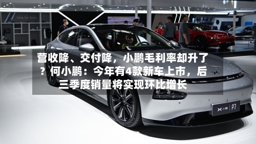 营收降	、交付降，小鹏毛利率却升了？何小鹏：今年有4款新车上市，后三季度销量将实现环比增长-第2张图片