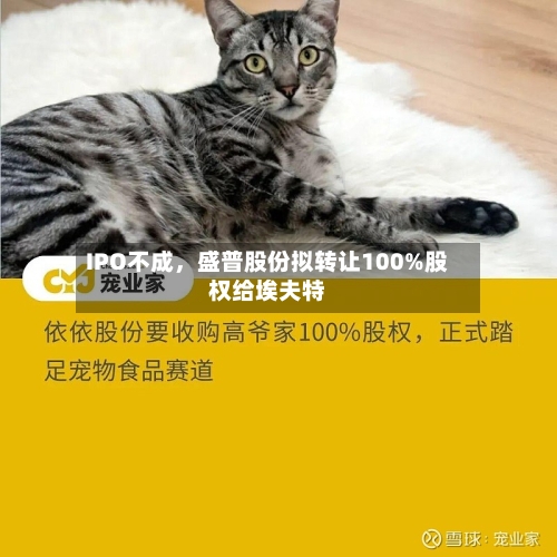 IPO不成	，盛普股份拟转让100%股权给埃夫特-第3张图片