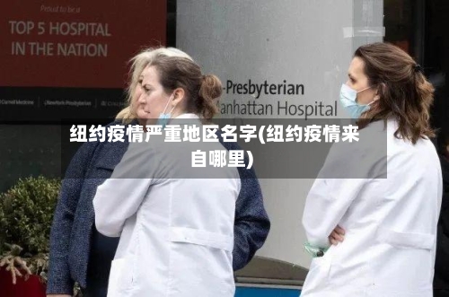 纽约疫情严重地区名字(纽约疫情来自哪里)-第3张图片