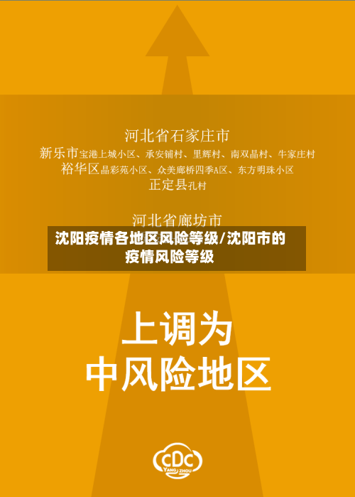 沈阳疫情各地区风险等级/沈阳市的疫情风险等级