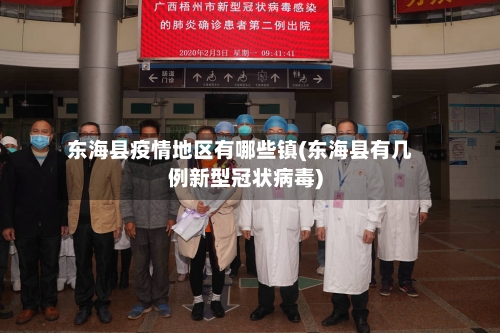 东海县疫情地区有哪些镇(东海县有几例新型冠状病毒)