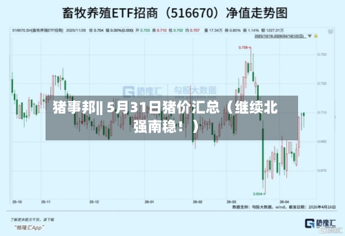 猪事邦|| 5月31日猪价汇总（继续北强南稳！）-第2张图片
