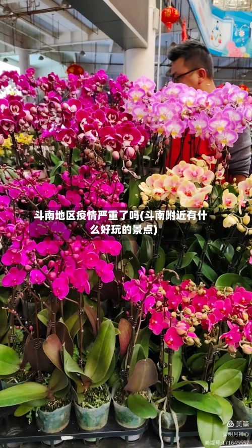 斗南地区疫情严重了吗(斗南附近有什么好玩的景点)-第3张图片