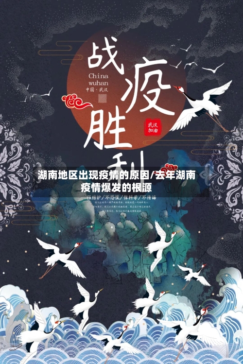 湖南地区出现疫情的原因/去年湖南疫情爆发的根源-第2张图片