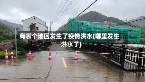 有哪个地区发生了疫情洪水(哪里发生洪水了)