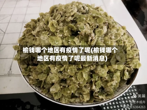 榆钱哪个地区有疫情了呢(榆钱哪个地区有疫情了呢最新消息)