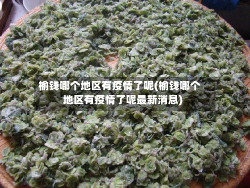 榆钱哪个地区有疫情了呢(榆钱哪个地区有疫情了呢最新消息)-第2张图片