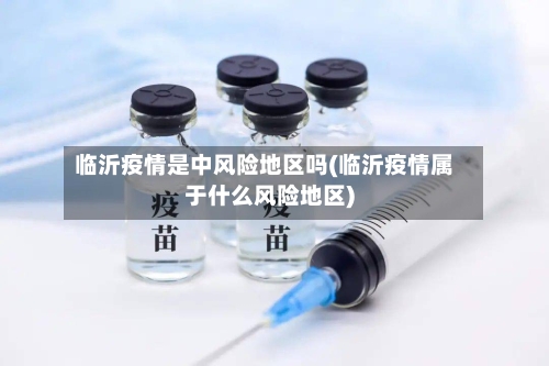 临沂疫情是中风险地区吗(临沂疫情属于什么风险地区)-第3张图片