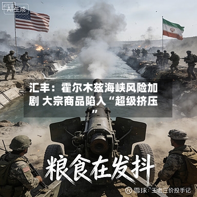 汇丰：霍尔木兹海峡风险加剧 大宗商品陷入“超级挤压”-第2张图片