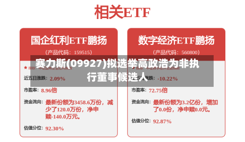 赛力斯(09927)拟选举高政浩为非执行董事候选人-第2张图片